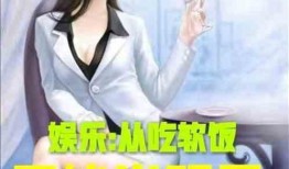 娱乐吃瓜酱大师小说,揭秘娱乐圈背后的秘密与真相